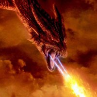 PeterJWall (@peterjwall1) 's Twitter Profile