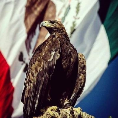 CristbalJurezL1's profile picture. Paciente