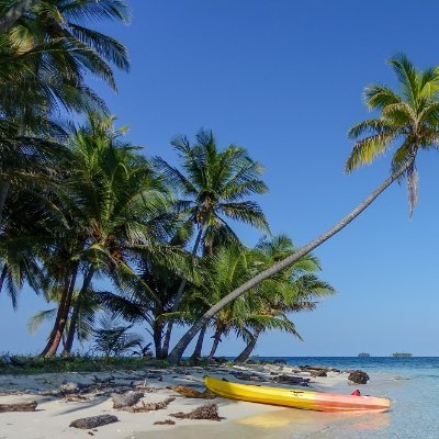 mtaitano13's profile picture. 