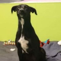 AllAboutTheYou (@imkiddingrelax1) 's Twitter Profile