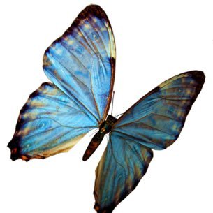 Lonelyeilf's profile picture. 