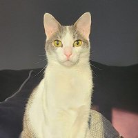Annuityguy30 (@annuityguy2023) 's Twitter Profile