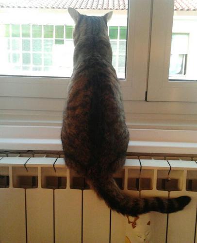 Gianluca9otto's profile picture. 