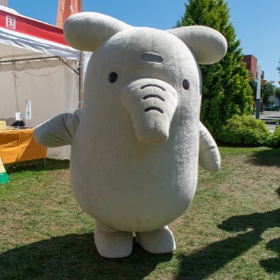 幌延ビジターセンターから見えるサロベツ原野の魅力に惹かれて幌延町に移住しました/苫小牧市出身/29 歳/植物と野鳥が好き/カメラ/高速道路/鉄道(浅め)