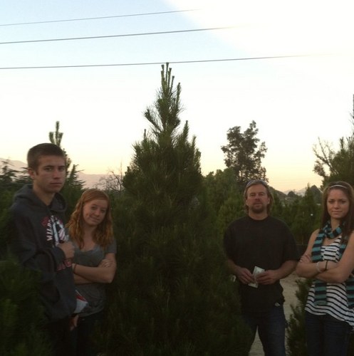 CathyCthy's profile picture. 