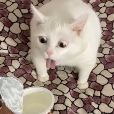 sparkfire2981's profile picture. 