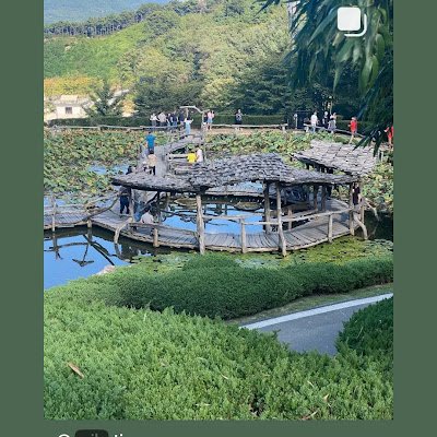 chnchol525893's profile picture. 