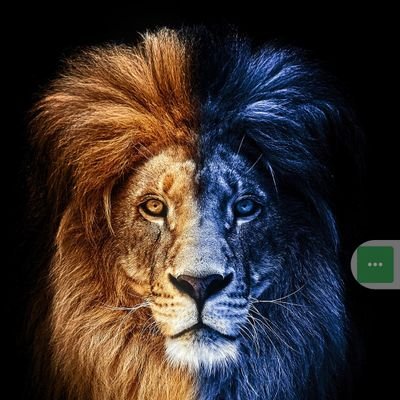 TRZGSAAWNAV's profile picture. 