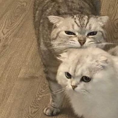 li_er_'s profile picture. 