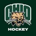 Ohio Hockey DII (@ohiohockeyd2) Twitter profile photo