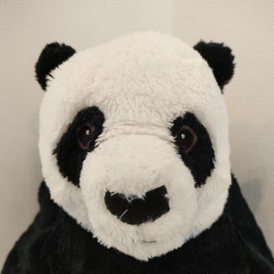 38w70800132's profile picture. 都内30代後半。専門職。復職の足音がすぐそこまで…。2歳（2021.8）と1歳（2022.12）年子男児育児に奮闘中🧒👶猫、音楽、映画、マンガ・アニメ・ゲーム、食べることが好き。日々の色々ぼやいてます。ギリギリの気持ちで生きてるので愚痴多いです🙇