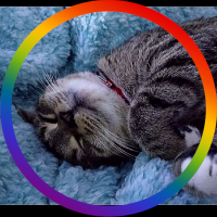 KatMack528 (@katmack528) 's Twitter Profile