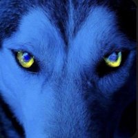 Marek zymko (@markszymkowicz) 's Twitter Profile