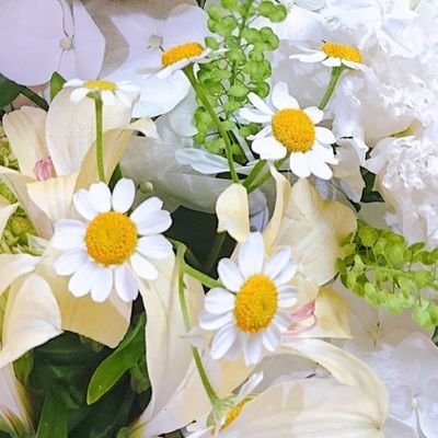 39_lunlun's profile picture. GWC/無言フォロー失礼します/