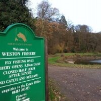 AlburyFishing (@alburyfishing) 's Twitter Profile