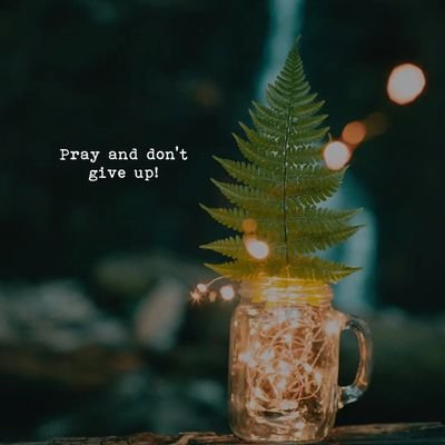 mudaser_hadi's profile picture. 