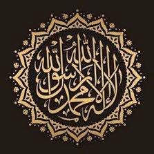 mlywm12's profile picture. -