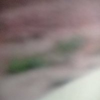 Mert9842 (@mert9742) 's Twitter Profile