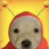 tomato (@unr3lateded) 's Twitter Profile