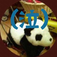 すりーぴんぐ すろーす(@sleeping_sloth2) 's Twitter Profile Photo