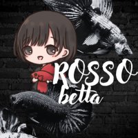ROSSO〜BETTA&PLANTS･てん(@rosso_tenchan) 's Twitter Profile Photo