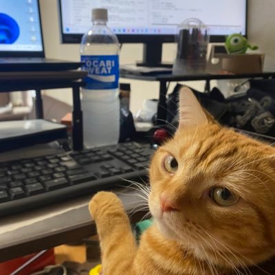 営業/マネージャー職。IT業界が好き。お猫様飼ってます。転職検討の方でも、気軽にお声掛け下さい〜。フリーランスのご支援も可能です！