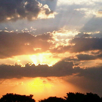 PeopleofPanem's profile picture. An account dedicated to all of the people of Panem! Follow my accounts @SA_JHutchers or @LittleMissMe3gs xxx