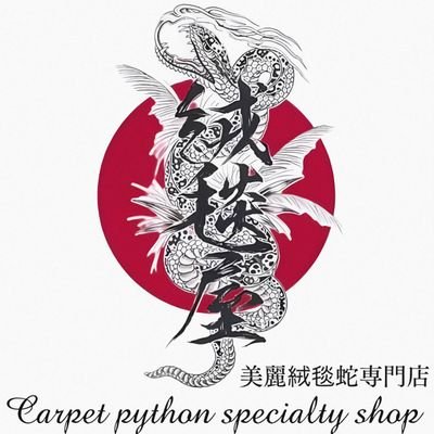 Carpetpython専門店🐍
大阪でひっそりとやっております❤️
完全予約制の為、DMからお気軽にお問い合わせ下さい😊
カード使えます💳️