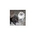 Gale Russell (@galeforcedwinds) Twitter profile photo Gale Russell (@galeforcedwinds) Twitter profile photo