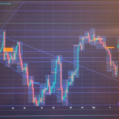 traderboy123's profile picture. 