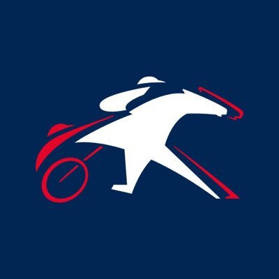 Trotteur Français Profile