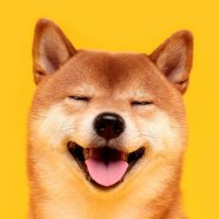 TheMemeChain (@thememechain007) 's Twitter Profile