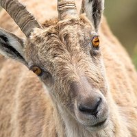 1313 (@1313cs_) 's Twitter Profile