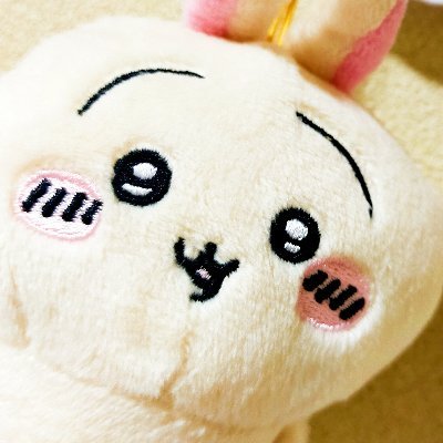 ちいかわ箱推し❤うさぎ最推しです🐰
サンリオ推し❤リトルツインスターズ、クロミ、マイメロ、ウサハナ
ファン歴はまだまだ浅いですが、よかったら仲良くしてください😊
成人済です