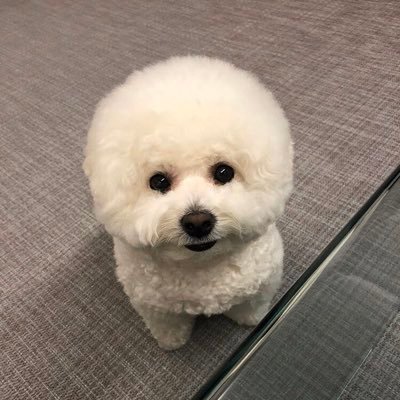 xocAs/ざおかすさんのプロフィール画像