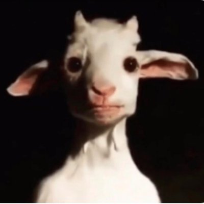 Ramboooman's profile picture. Where are your parents?