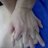 N看護師 (@ficklenurse) Twitter profile photo