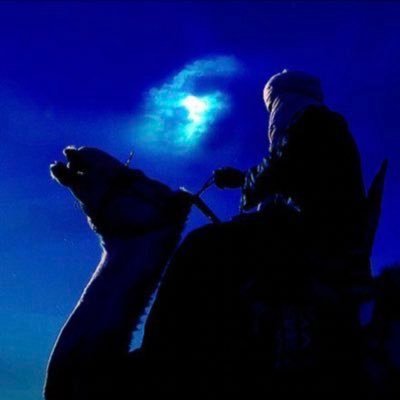 cvhlu's profile picture. عدم الدليل، ليس دليلا على العدم.