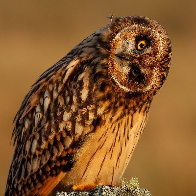 Loving my new E-bike also like taking pictures of mainly wildlife and the stars at night.