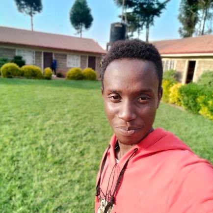 greenstine99's profile picture. 