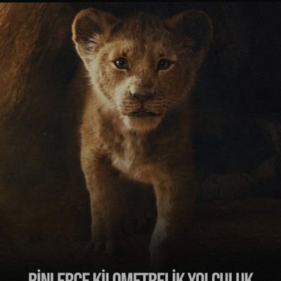 brahimD97793129's profile picture. 