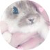 🐰 ᴍɪᴋᴀ⁷⟭⟬🐰 𝔾𝕆𝕃𝔻𝔼ℕ♡ (@CRAZZZZY_GZB) Twitter profile photo