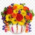 md amanullah (@mdaponrj) Twitter profile photo md amanullah (@mdaponrj) Twitter profile photo