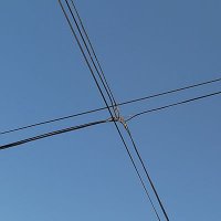 Roso El Salvaje (@rosoelsalvaje) 's Twitter Profile