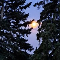 SissyS (@sissy3572) 's Twitter Profile Photo