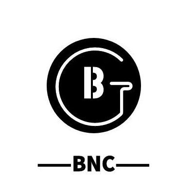 BNC (Blockchain Nuggets Community) is a web3 community with blockchain education+technology+consulting as its entry point，We focus on@BTC@ETH@L2@Brc20@RWA