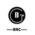 BNC Labs (@BNC_Web3) Twitter profile photo