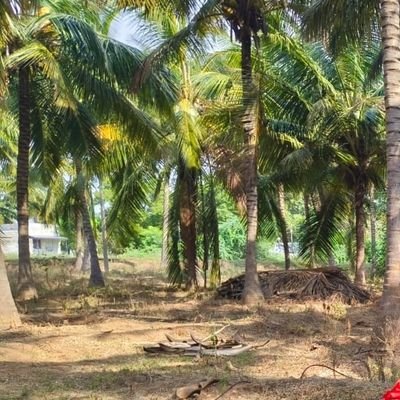 venkatesh15k's profile picture. Doing something to survive 🤠