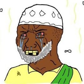 Account dedicated to Muslims Posting Their L’s Online. Tag/DM📥 submissions