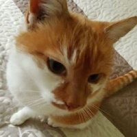Krystyna (@kasir28117856) 's Twitter Profile